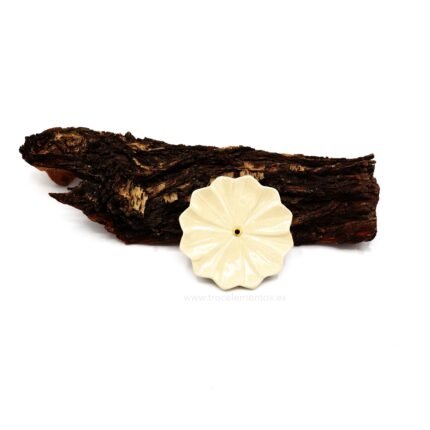 Porta incienso ceramico flor blanca decorativo