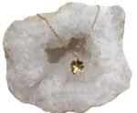 Collar de acero inoxidable con trébol de 4 hojas dorado 2