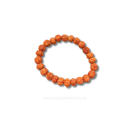 pulsera semilla sagrada rudraska